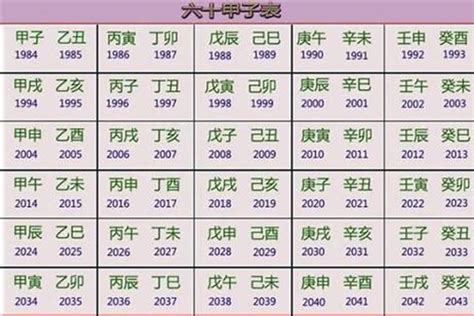 五行 2024|2024年五行属什么？2024年出生是什么命？